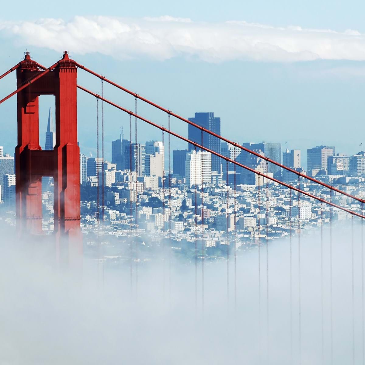 Golden Gate Bridge Er Porten Til San Francisco. Foto. Hasan Can Balcioglu Dreamstime.Com