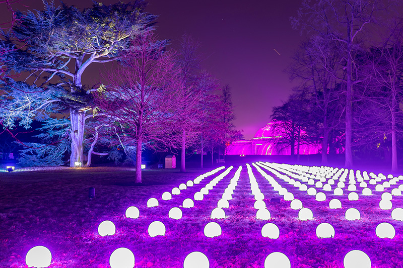 Kew Gardens Er Også Smuk Ved Juletid Med Lyspynt