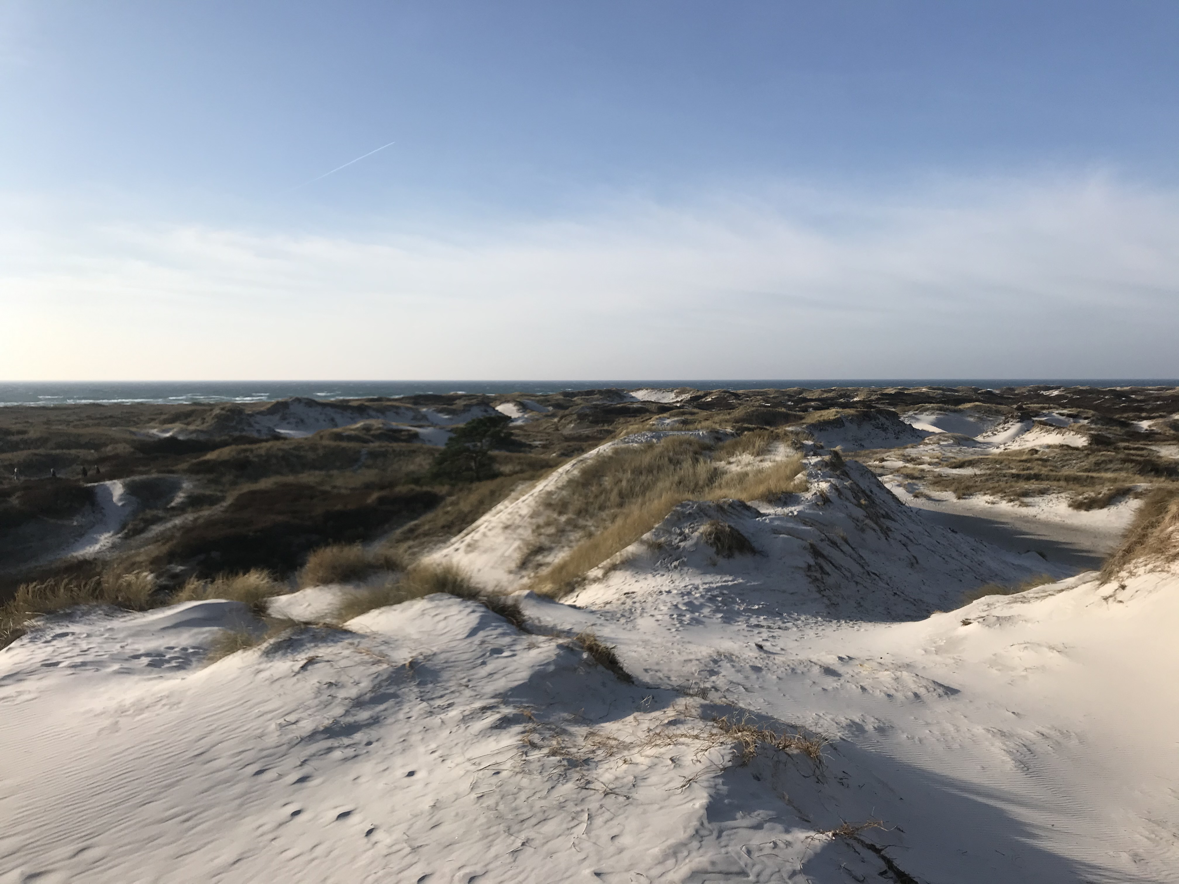 Udsigten Fra Dueoddes Klitter Er Som Et Månelandskab. Foto. Søren Sorgenfri