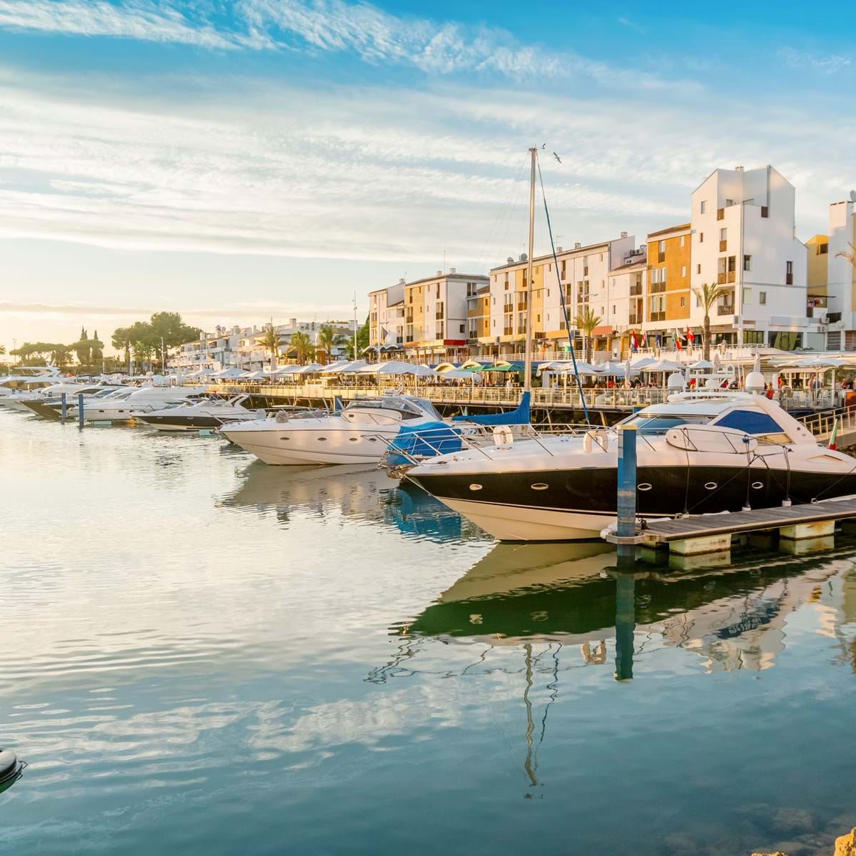 Faro