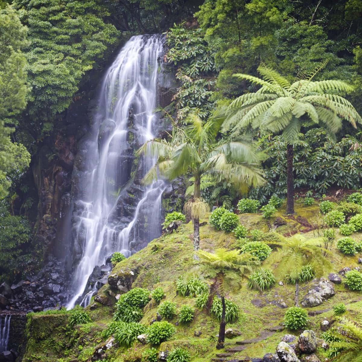 Naturskønne Områder Som Vandfaldet Ved Sao Miguel Giver Minder Om Hawaii. Foto. Tomi Tenetz Dreamstime.Com