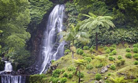 Naturskønne Områder Som Vandfaldet Ved Sao Miguel Giver Minder Om Hawaii. Foto. Tomi Tenetz Dreamstime.Com