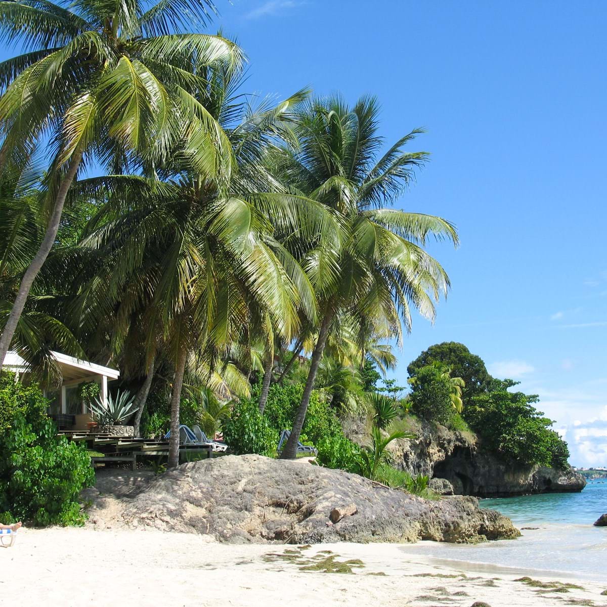 Guadeloupe. Foto Judith Betak