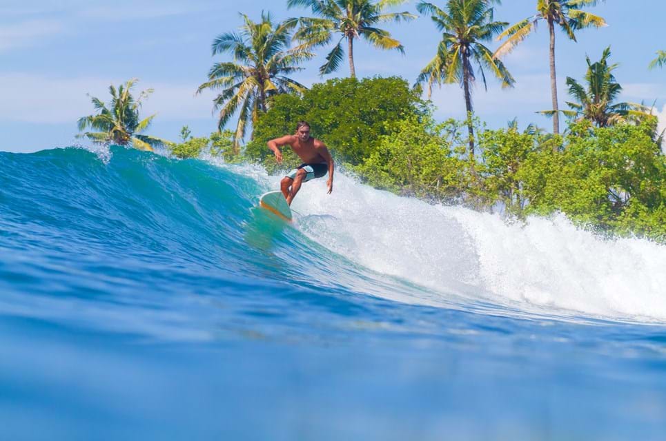 For Vandhunde Vil Halen Logre På Bali. Foto. Trubavin Photo