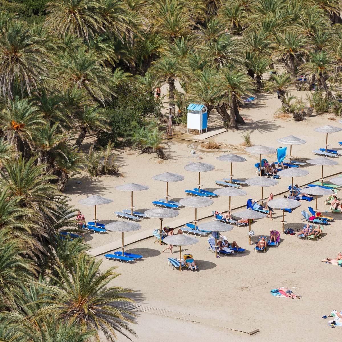 Kreta. Vai. Foto. Castenoid Dreamstime.Com