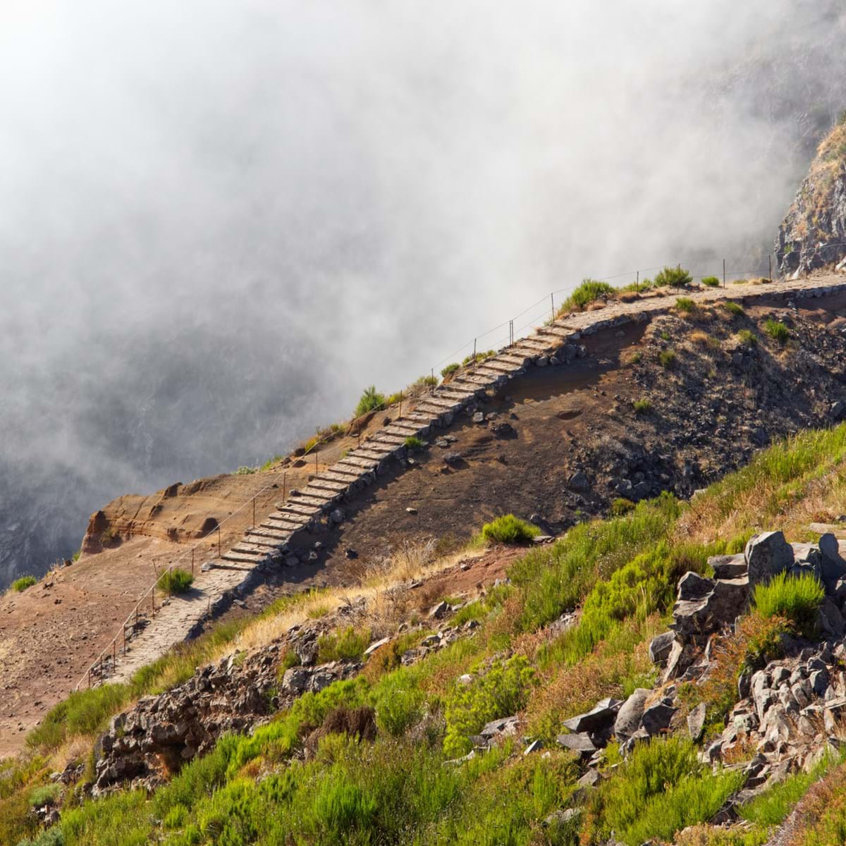 Madeira. Foto. Dennis Gross Dreamstime.Com