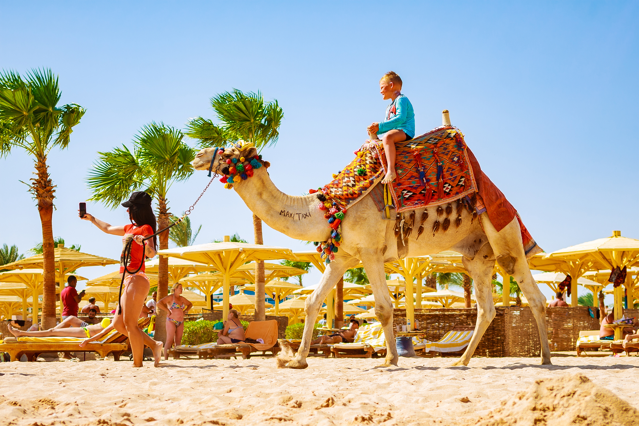 Selv Om Man Er På Stranden For At Bade, Så Kan Man Jo Lige Tage Sig En Ridetur På Kamel. Foto. Dreamstime.