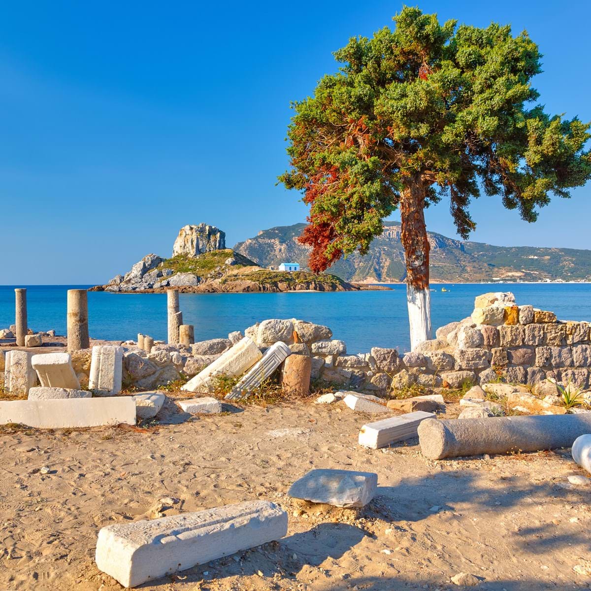 Kos. Foto. Sborisov Dreamstime.Com