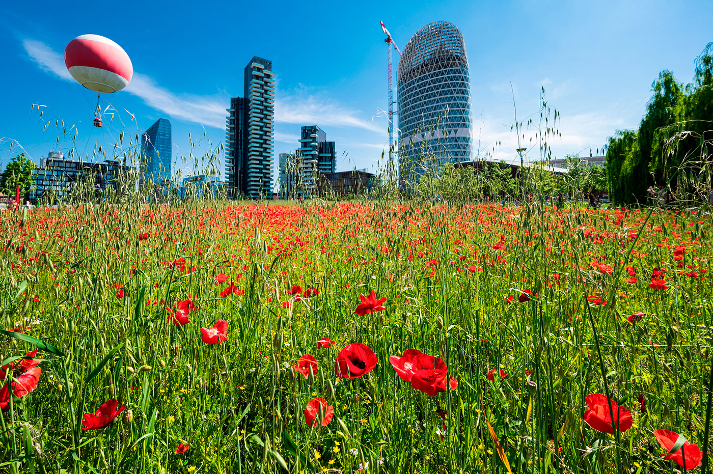 Shutterstock 2174503307 Lowres