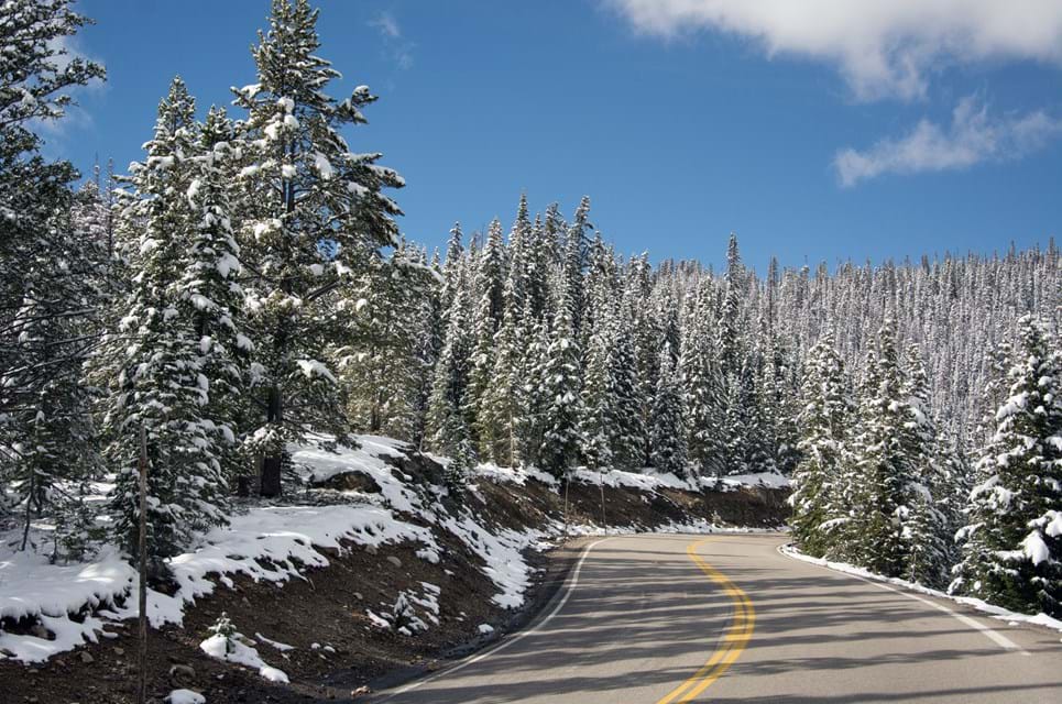 Trail Ridge. Foto. Tony Campbell Dreamstime.Com
