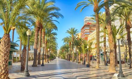Alicante bymidte