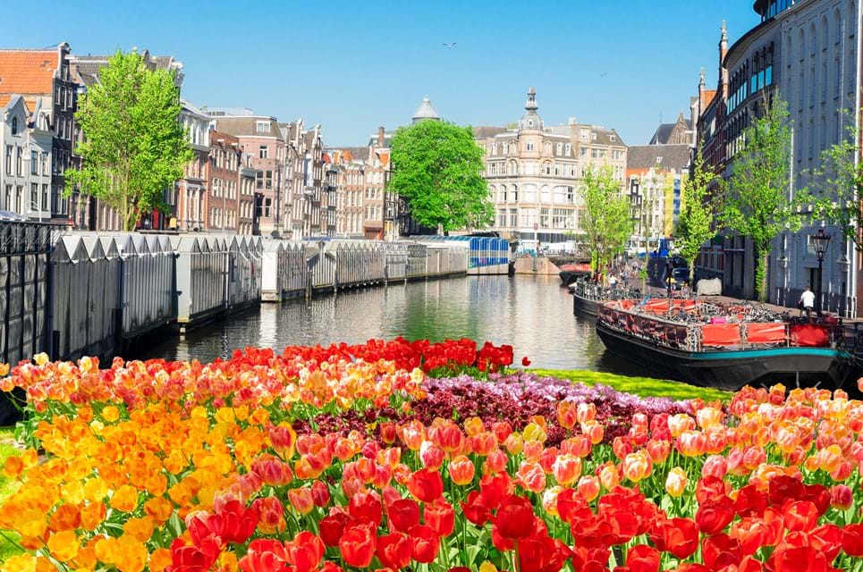 Bloemenmarkt Ved Amsterdam Kanal Med Tulipaner