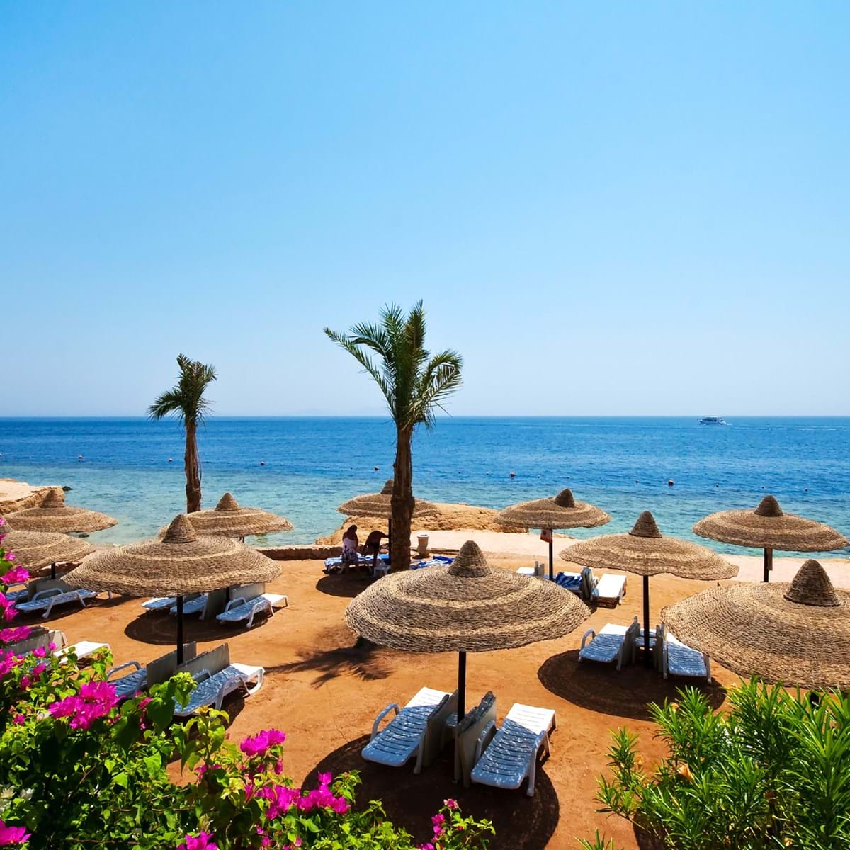 Sharm El Sheik. Foto. Bjorn Hovdal Dreamstime.Com