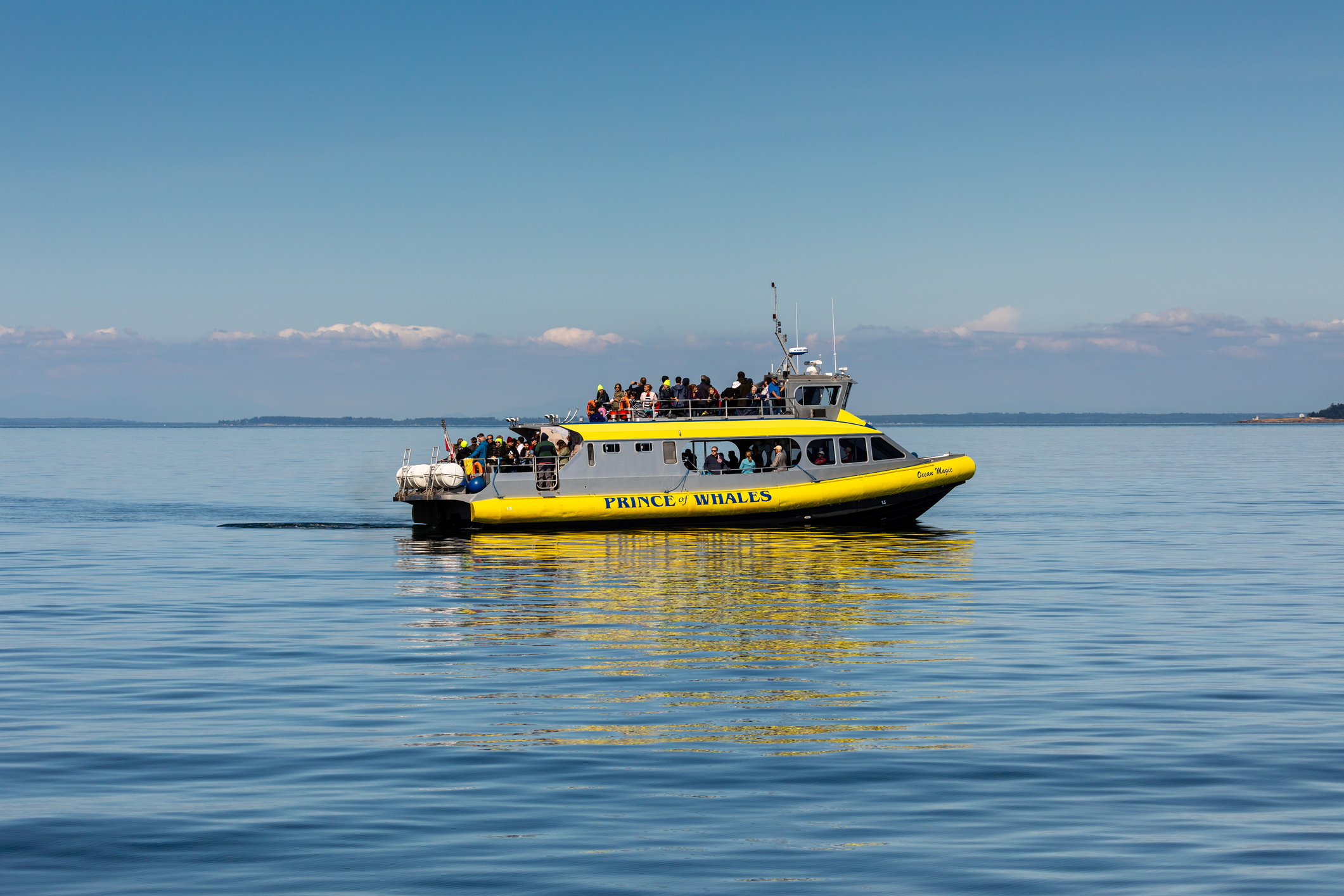 Tag På Hvalsafari Med Undervisningsbåde Som 'The Prince Of Whales'. Foto.Dreamstime.