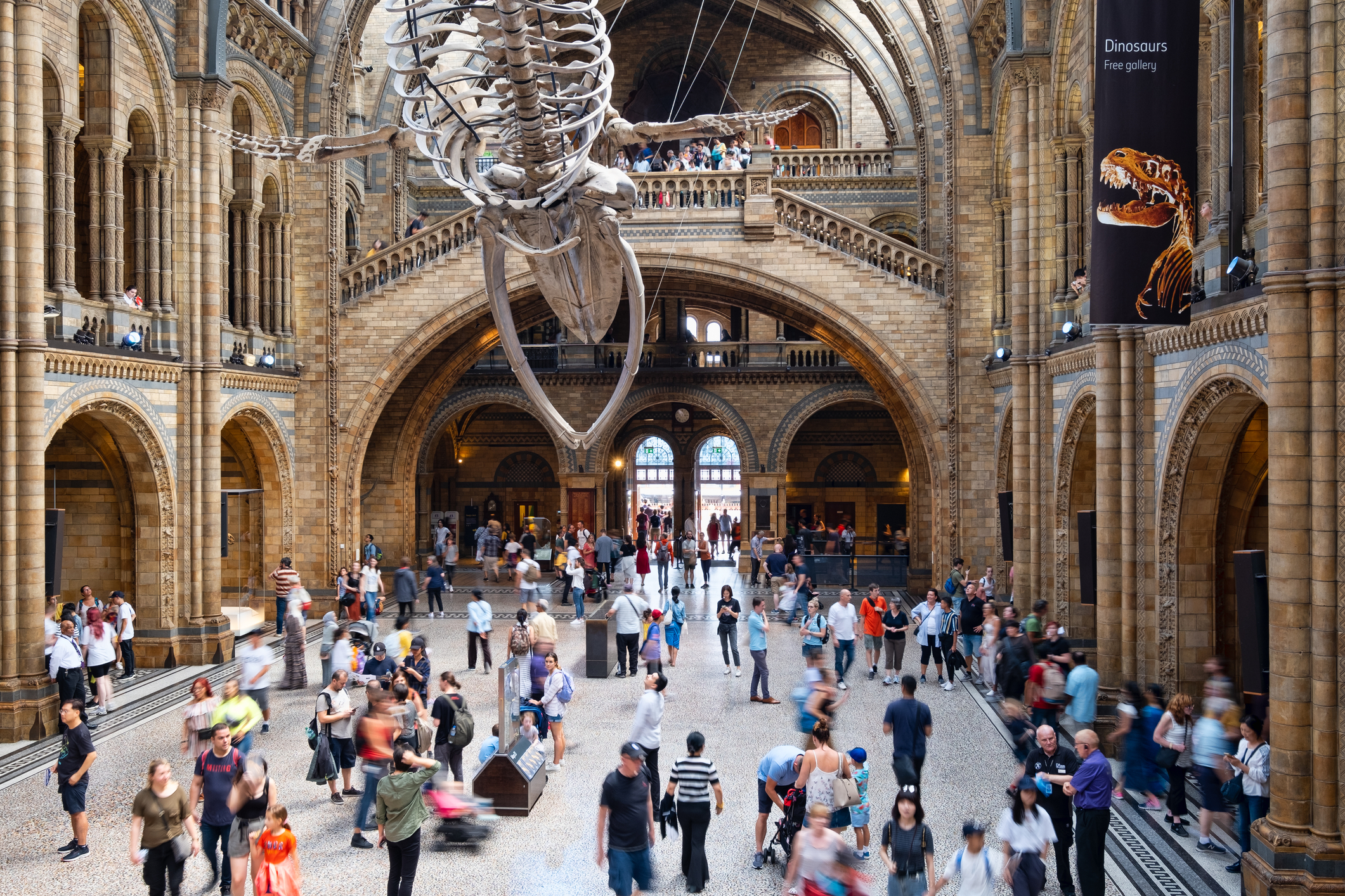 Skal Du Kun Se Et Museum I Løbet Af Din Tur Til London Så Gå Ikke Glip Af Det Verdensberømte Naturhistoriske Museum. Foto. Kmira Gaya.