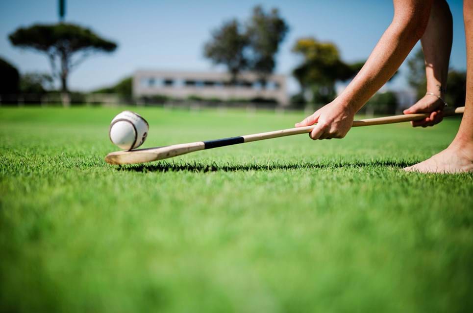 Shutterstock 1125969227