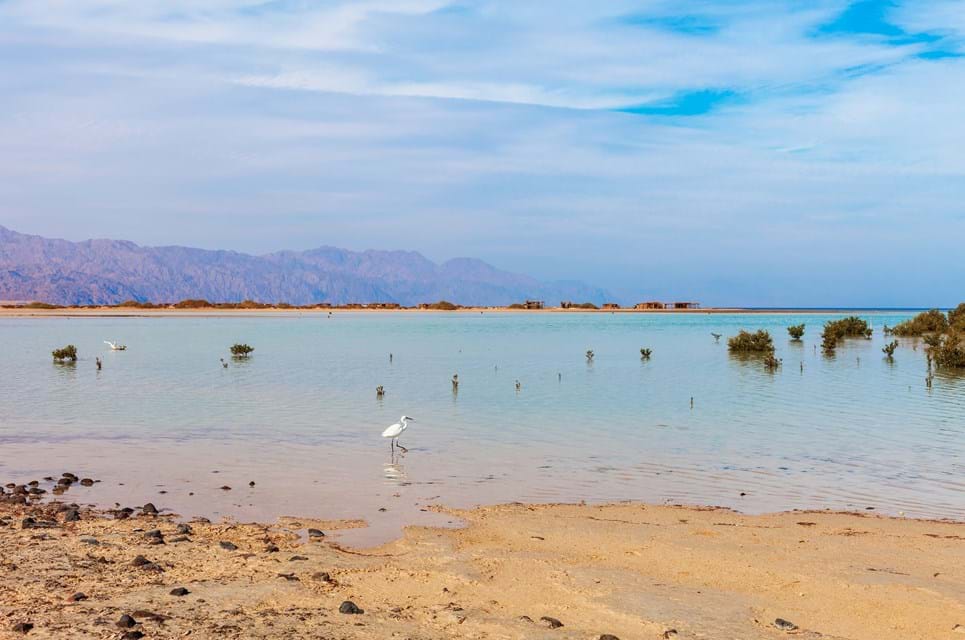 Sharm El Sheik. Foto. Oleh Panasenko Dreamstime.Com