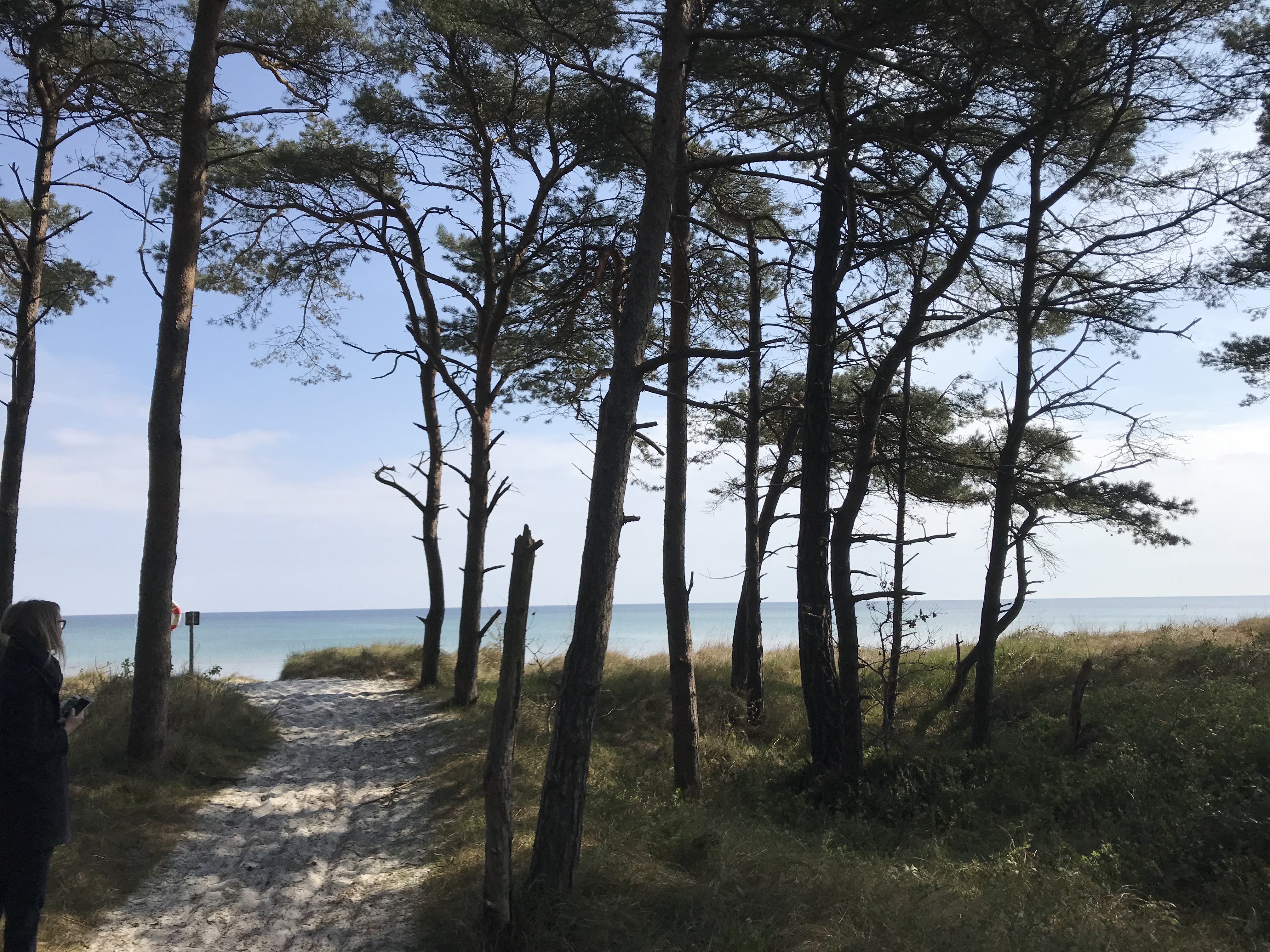 De Lidt Hemmeligheder Strandstykker På Den Bornholmske Sydkyst Minder Om Middelhavet. Foto. Søren Sorgenfri.