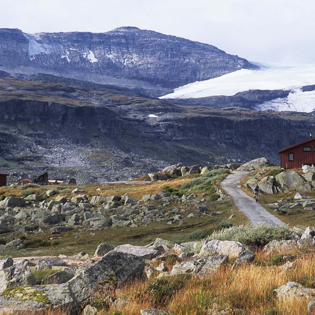 Cyklister Og Vandringsfolk Kan Se Frem Til Dette Smukke Landskab Nær Bergen. Foto. Steve Thomas