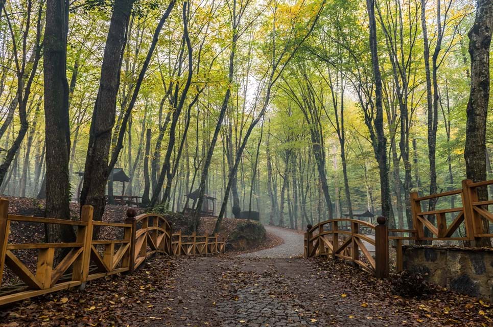 Shutterstock 511165471