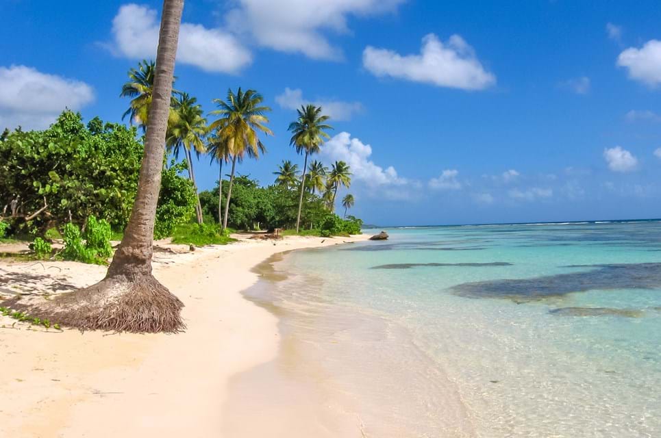 Fransk Caribien. Foto. Bennymarty Dreamstime.Com