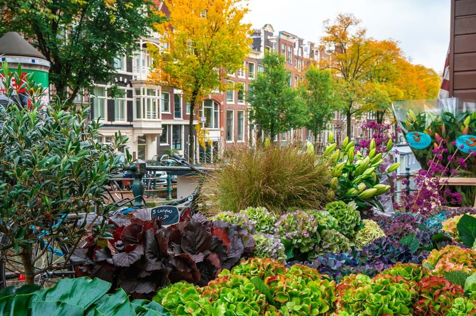 Amsterdams Blomstermarkeder Giver Byen Liv Og Farve Og Turisterne Gode Fotomuligheder. Foto. Koba Samurkasov (1)