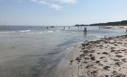 1 Bornholm
