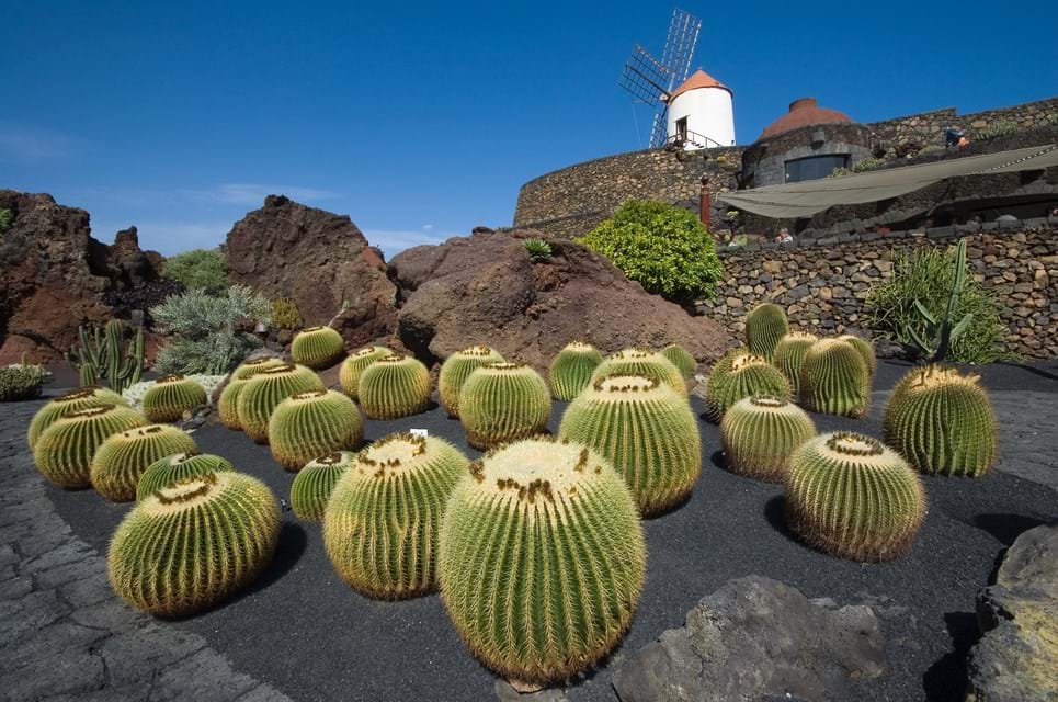 Lanzarote. Foto. Mariusz Świtulski Dreamstime.Com